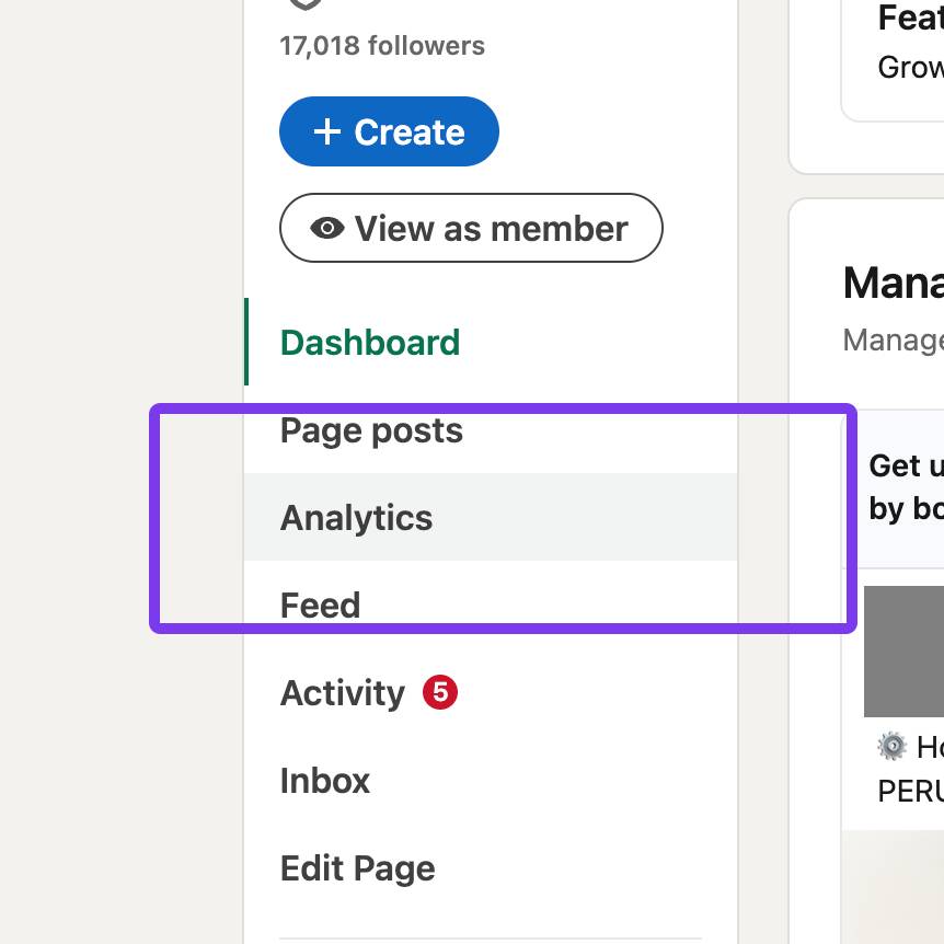 LinkedIn company page admin menu with Analytics highlighted